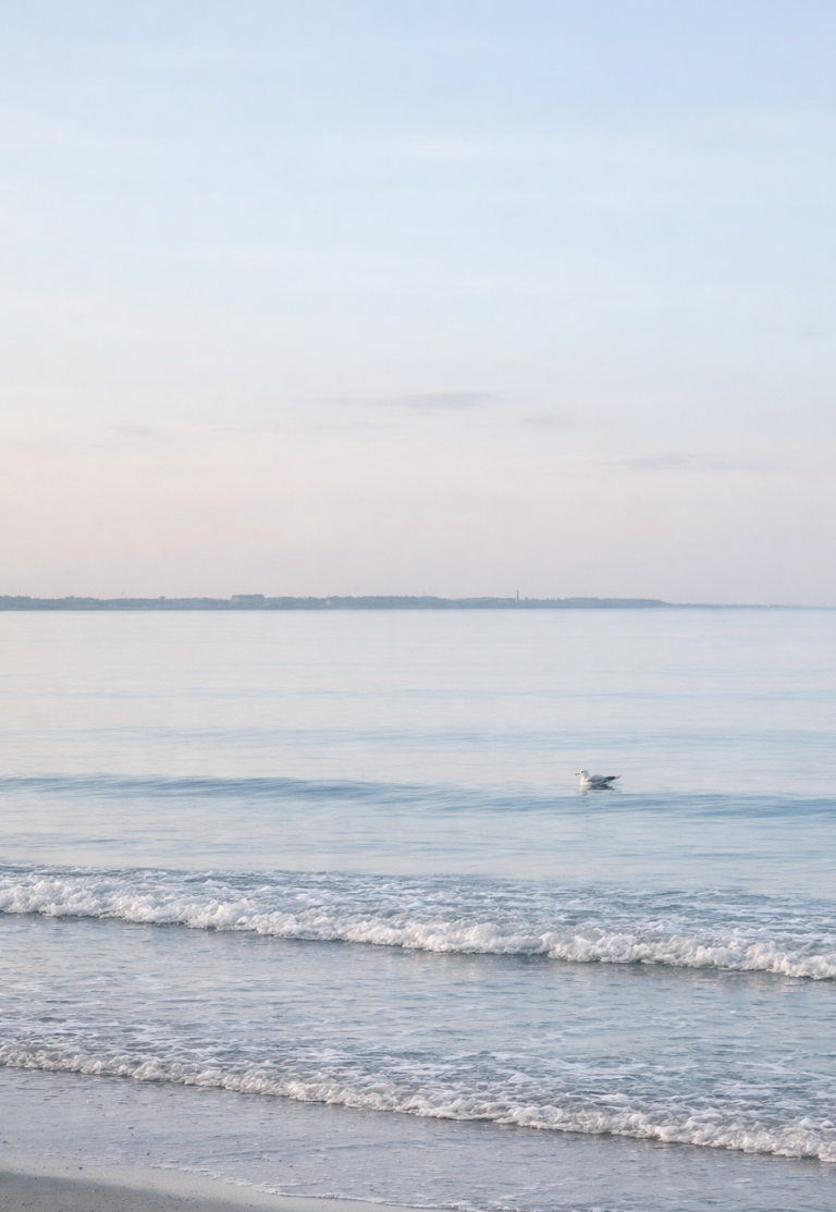 Ruhige Wasseroberfläche mit Horizont – Symbol für Klarheit und Orientierung in der psychosozialen Beratung und im Coaching in Dresden